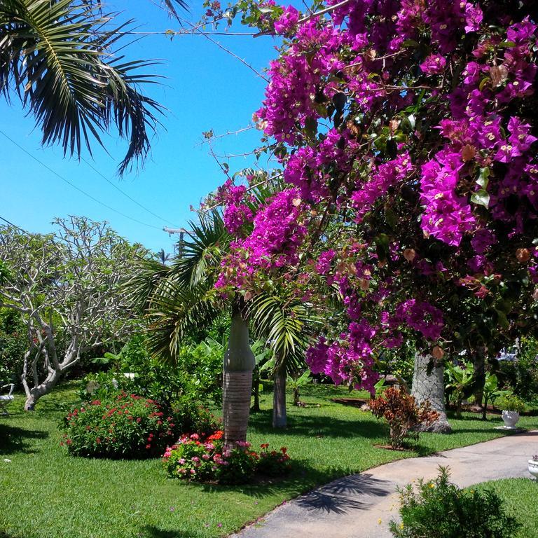 האמילטון Royal Palms Hotel מראה חיצוני תמונה